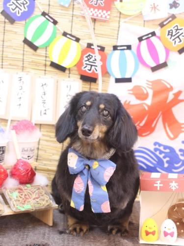 20240714マロンくん